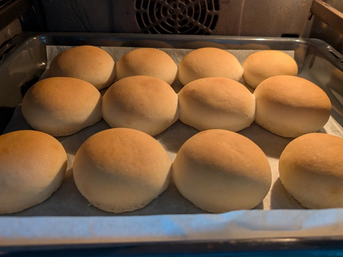 Doce panes amasados recién horneados, redondos y de corteza clara, sobre una bandeja con papel de hornear dentro del horno.